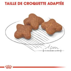 :ROYAL CANIN Mini Adulte 8+ 2kg 8 :ROYAL CANIN Mini Adulte 8+ 2kg -Magasin De Fournitures Pour Chiens fre pl ROYAL CANIN Mini Adulte 8 2kg 9904 3