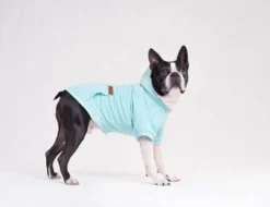 AMIPLAY Sweat-shirt à Capuche Texas Noir 25cm -Magasin De Fournitures Pour Chiens fre pl AMIPLAY Sweat shirt a capuche Texas noir 25cm 28478 3