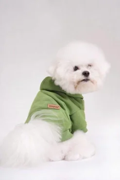 AMIPLAY Sweat-shirt à Capuche Texas Rouge 30cm 10 AMIPLAY Sweat-shirt à Capuche Texas Rouge 30cm -Magasin De Fournitures Pour Chiens fre pl AMIPLAY Sweat shirt a capuche Texas rouge 30cm 28485 5