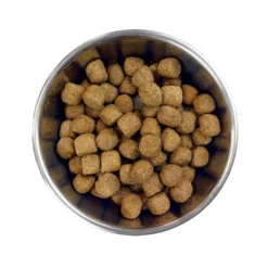 Barking Heads Big Foot Chop Lickin' Agneau Pour Chiens Adultes De Grande Race 12kg -Magasin De Fournitures Pour Chiens fre pl Barking Heads Big Foot Chop Lickin Agneau pour chiens adultes de grande race 12kg 28622 3