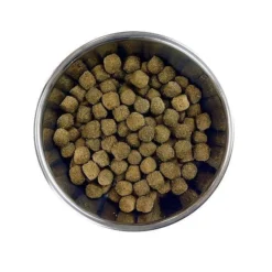 Barking Heads Chop Lickin' Agneau Pour Tous Les Chiens Adultes 12kg 5 Barking Heads Chop Lickin' Agneau Pour Tous Les Chiens Adultes 12kg -Magasin De Fournitures Pour Chiens fre pl Barking Heads Chop Lickin Agneau pour tous les chiens adultes 12kg 28619 3