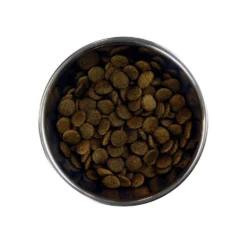 Barking Heads Doggylicious Canard Pour Tous Les Chiens Adultes 12kg -Magasin De Fournitures Pour Chiens fre pl Barking Heads Doggylicious Canard pour tous les chiens adultes 12kg 28624 3