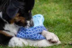 CoolPets Ice PINGWIN Pour Chiens -Magasin De Fournitures Pour Chiens fre pl CoolPets Ice PINGWIN pour chiens 30501 5