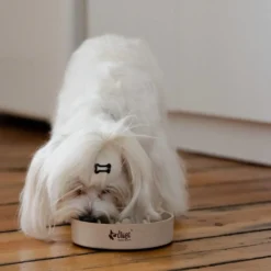 DINGO- Bol Lent En Fibre De Bambou- 1430 Ml -Magasin De Fournitures Pour Chiens fre pl DINGO bol lent en fibre de bambou 1430 ml 29823 3