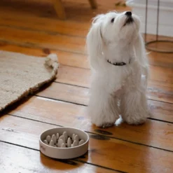 DINGO- Bol Lent En Fibre De Bambou- 800ml -Magasin De Fournitures Pour Chiens fre pl DINGO bol lent en fibre de bambou 800ml 29822 4