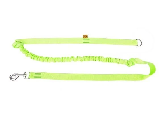 Dingo Laisse Avec Absorbeur De Chocs Et Poignée Vert 170cm 1 Dingo Laisse Avec Absorbeur De Chocs Et Poignée Vert 170cm