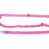 Dingo Laisse Avec Amortisseur Et Poignée Rose 170cm