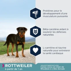 EUKANUBA Breed Specific Rottweiler 12kg + Surprise Gratuite Pour Votre Chien -Magasin De Fournitures Pour Chiens fre pl EUKANUBA Breed Specific Rottweiler 12kg Surprise gratuite pour votre chien 27334 4