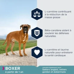 Eukanuba Adult Breed Specific Boxer 12kg 7 Eukanuba Adult Breed Specific Boxer 12kg -Magasin De Fournitures Pour Chiens fre pl Eukanuba Adult Breed Specific Boxer 12kg 15577 4