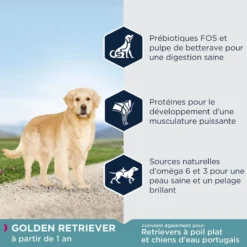 Eukanuba Adult Breed Specific Golden Retriever 12kg -Magasin De Fournitures Pour Chiens fre pl Eukanuba Adult Breed Specific Golden Retriever 12kg 15277 5