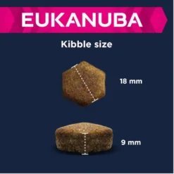 Eukanuba Adult Large Breed Agneau & Riz 12kg+ Surprise Gratuite Pour Votre Chien -Magasin De Fournitures Pour Chiens fre pl Eukanuba Adult Large Breed Agneau Riz 12kg Surprise gratuite pour votre chien 27327 4