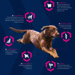 Eukanuba Adultes Breed Specific12kg -Magasin De Fournitures Pour Chiens fre pl Eukanuba Adultes Breed Specific 12kg 15278 5