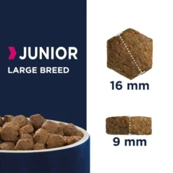Eukanuba Junior Large 15kg -Magasin De Fournitures Pour Chiens fre pl Eukanuba Junior Large 15kg 11861 3