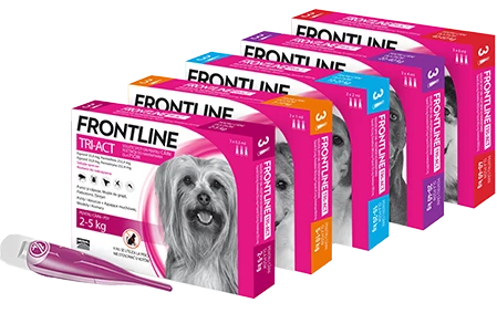 FRONTLINE Tri-Act Pour Chiens 3x6ml 2 FRONTLINE Tri-Act Pour Chiens 3x6ml – Image 2