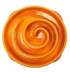 FUN FEEDER -Mini Bowl Pour Ralentir La Consommation D'orange