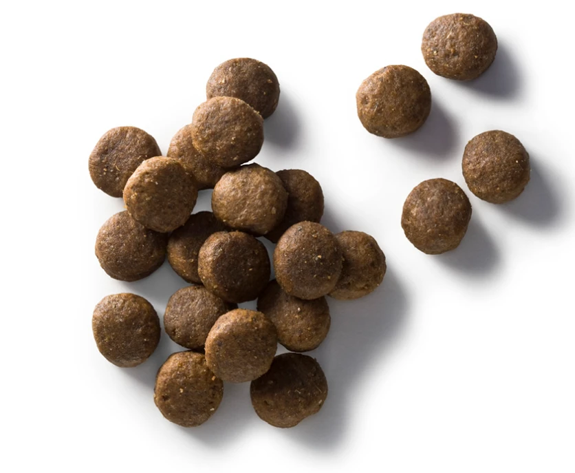 Faunakram Maitenance Adult All Breed 12 Kg 2 Faunakram Maitenance Adult All Breed 12 Kg – Image 2