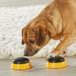 Hunger For Words TALKING PET NEXT WORDS NAMES -Magasin De Fournitures Pour Chiens fre pl Hunger for Words TALKING PET NEXT WORDS NAMES 29733 4