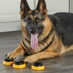 Hunger For Words TALKING PET NEXT WORDS NAMES -Magasin De Fournitures Pour Chiens fre pl Hunger for Words TALKING PET NEXT WORDS NAMES 29733 5