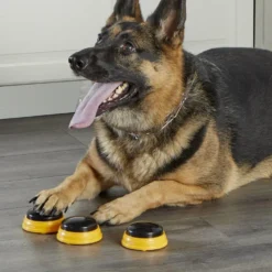 Hunger For Words TALKING PET NEXT WORDS NAMES -Magasin De Fournitures Pour Chiens fre pl Hunger for Words TALKING PET NEXT WORDS NAMES 29733 6