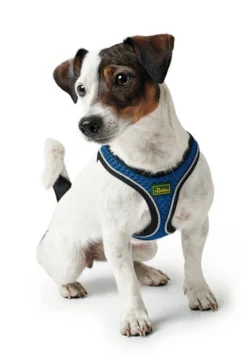 Hunter Hilo Comfort Harnais Pour Chien Bleu Marine Taille S/M 7 Hunter Hilo Comfort Harnais Pour Chien Bleu Marine Taille S/M -Magasin De Fournitures Pour Chiens fre pl Hunter Hilo Comfort Harnais pour chien Bleu marine Taille S M 16650 4