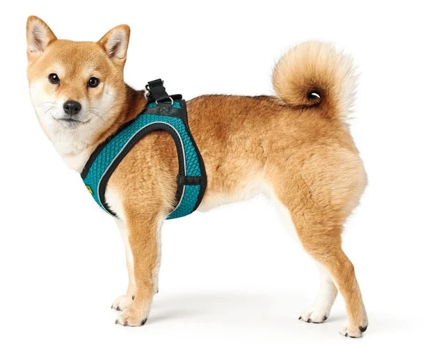 Hunter Hilo Comfort Harnais Pour Chien Turquoise Taille M/L 3 Hunter Hilo Comfort Harnais Pour Chien Turquoise Taille M/L – Image 3