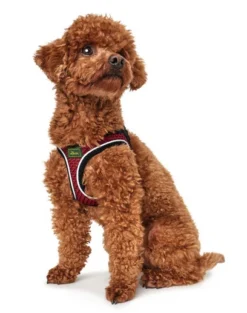 Hunter Hilo Comfort Harnais Pour Chien Rouge Taille S -Magasin De Fournitures Pour Chiens fre pl Hunter Hilo Comfort Harnais pour chien rouge Taille S 13103 3