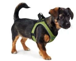 Hunter Hilo Comfort Harnais Pour Chien Vert Lime Taille M/L -Magasin De Fournitures Pour Chiens fre pl Hunter Hilo Comfort Harnais pour chien vert lime Taille M L 12620 3
