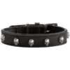 Hunter Mombasa Collier De Chien En Cuir XS-S- 40 Cm