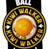 Kiwi Walker Let's Play BALL Maxi Balle Orange