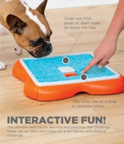 Nina Ottosson Dog Challenge Slider - Un Jeu Interactif Pour Les Chiens - Niveau 3. 8 Nina Ottosson Dog Challenge Slider - Un Jeu Interactif Pour Les Chiens - Niveau 3. -Magasin De Fournitures Pour Chiens fre pl Nina Ottosson Dog Challenge Slider un jeu interactif pour les chiens niveau 3 25986 4