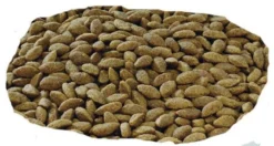 PURINA PRO PLAN PRO PLAN Sensitive Skin Croquettes Pour Chien Adulte Medium & Large Riches En Saumon 14kg + Surprise Gratuite Pour Chien 9 PURINA PRO PLAN PRO PLAN Sensitive Skin Croquettes Pour Chien Adulte Medium & Large Riches En Saumon 14kg + Surprise Gratuite Pour Chien -Magasin De Fournitures Pour Chiens fre pl PRO PLAN Sensitive Skin Croquettes pour chien adulte Medium Large riches en saumon 14kg Surprise Gratuite pour Chien 26978 3