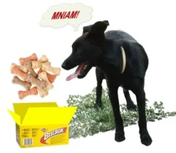 Pedigree Biscrok Biscuits Pour Chiens Adultes Sous Forme D'os Avec De L'agneau, Du Poulet Et Du Bœuf 500g X2 -Magasin De Fournitures Pour Chiens fre pl Pedigree Biscrok Biscuits Pour chiens adultes sous forme dos avec de lagneau du poulet et du boeuf 500g x2 30143 3