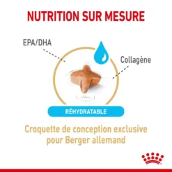 ROYAL CANIN Berger Allemand Adult 5+ 3kg -Magasin De Fournitures Pour Chiens fre pl ROYAL CANIN Berger Allemand Adult 5 3kg 12524 3