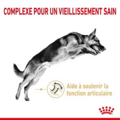ROYAL CANIN Berger Allemand Adult 5+ 3kg -Magasin De Fournitures Pour Chiens fre pl ROYAL CANIN Berger Allemand Adult 5 3kg 12524 6