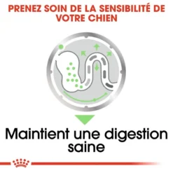 ROYAL CANIN CCN Digestive Care Pâté 12x85g -Magasin De Fournitures Pour Chiens fre pl ROYAL CANIN CCN Digestive Care Pate 12x85g 10093 5
