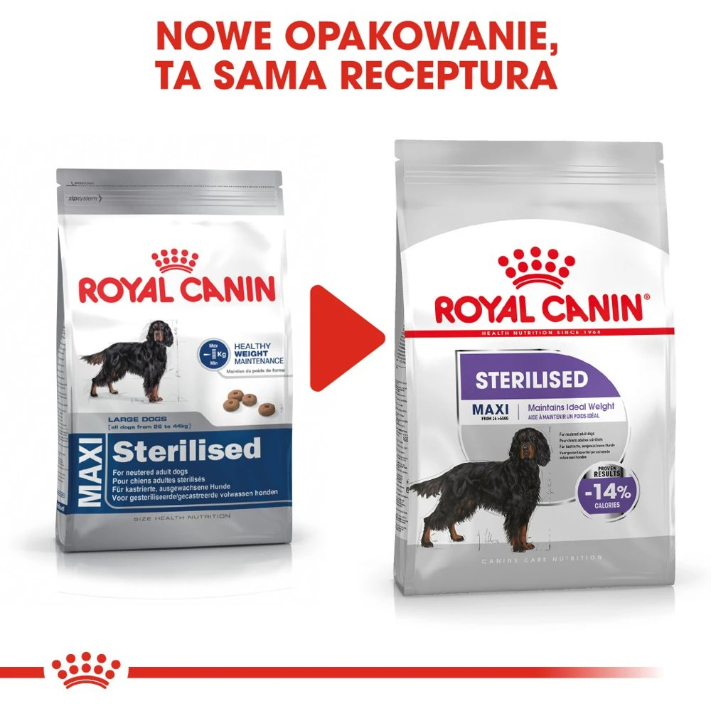 ROYAL CANIN CCN Maxi Sterilised 12kg Nourriture Sèche Pour Chiens Adultes De Grande Race Stérilisés 1 ROYAL CANIN CCN Maxi Sterilised 12kg Nourriture Sèche Pour Chiens Adultes De Grande Race Stérilisés