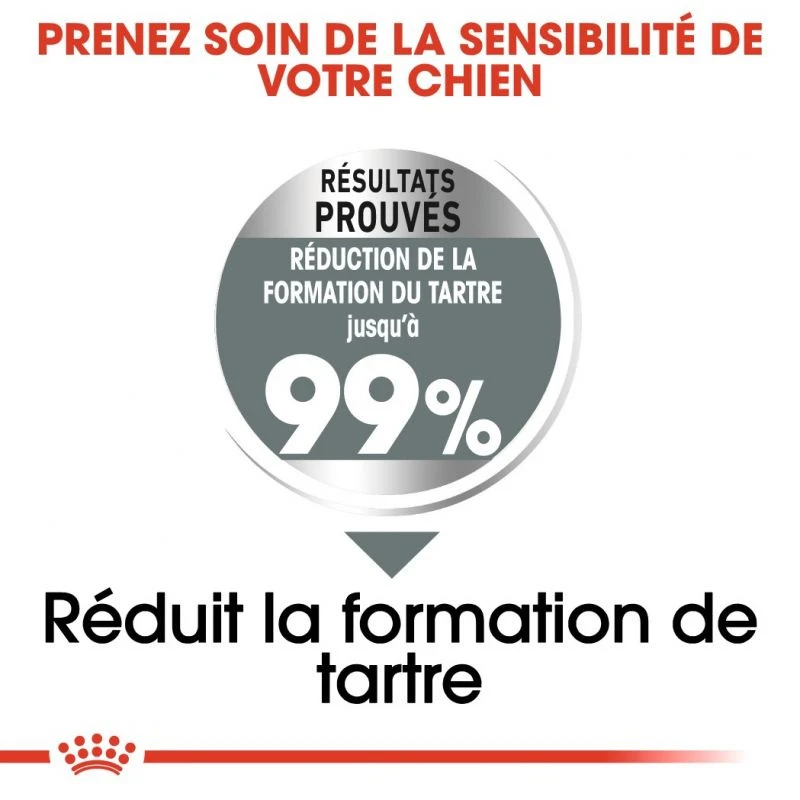 ROYAL CANIN CCN Medium Dental Care 3kg X2 2 ROYAL CANIN CCN Medium Dental Care 3kg X2 – Image 2