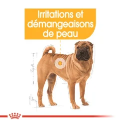 ROYAL CANIN CCN Medium Dermacomfort 3kg -Magasin De Fournitures Pour Chiens fre pl ROYAL CANIN CCN Medium Dermacomfort 3kg 16276 2