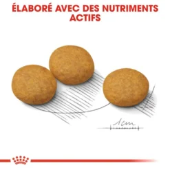 ROYAL CANIN CCN Medium Dermacomfort 3kg -Magasin De Fournitures Pour Chiens fre pl ROYAL CANIN CCN Medium Dermacomfort 3kg 16276 4