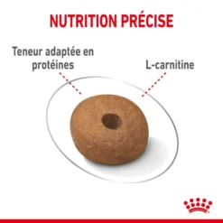 ROYAL CANIN CCN Medium Light Weight Care 3kg -Magasin De Fournitures Pour Chiens fre pl ROYAL CANIN CCN Medium Light Weight Care 3kg 10066 4