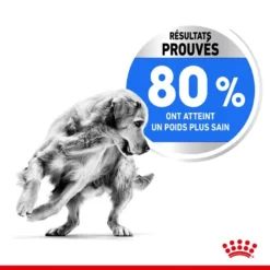 ROYAL CANIN CCN Medium Light Weight Care 3kg -Magasin De Fournitures Pour Chiens fre pl ROYAL CANIN CCN Medium Light Weight Care 3kg 10066 5
