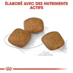 ROYAL CANIN CCN Medium Relax Care 1kg -Magasin De Fournitures Pour Chiens fre pl ROYAL CANIN CCN Medium Relax Care 1kg 16278 4
