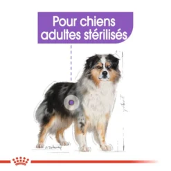 ROYAL CANIN CCN Medium Sterilised 3kg X2 -Magasin De Fournitures Pour Chiens fre pl ROYAL CANIN CCN Medium Sterilised 3kg x2 30718 5