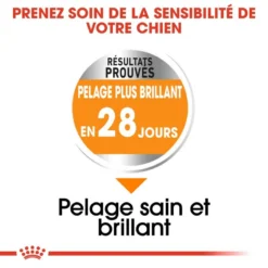 ROYAL CANIN CCN Mini Coat Care 3kg -Magasin De Fournitures Pour Chiens fre pl ROYAL CANIN CCN Mini Coat Care 3kg 16282 6