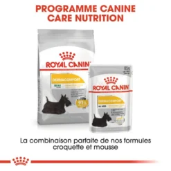 ROYAL CANIN CCN Mini Dermacomfort 3kg -Magasin De Fournitures Pour Chiens fre pl ROYAL CANIN CCN Mini Dermacomfort 3kg 16286 3