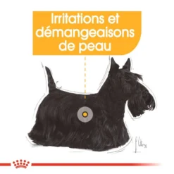 ROYAL CANIN CCN Mini Dermacomfort 3kg -Magasin De Fournitures Pour Chiens fre pl ROYAL CANIN CCN Mini Dermacomfort 3kg 16286 4