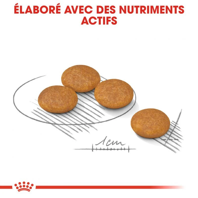 ROYAL CANIN CCN Mini Dermacomfort 3kg + OVER ZOO Délicatesse 100g GRATUIT 3 ROYAL CANIN CCN Mini Dermacomfort 3kg + OVER ZOO Délicatesse 100g GRATUIT – Image 3