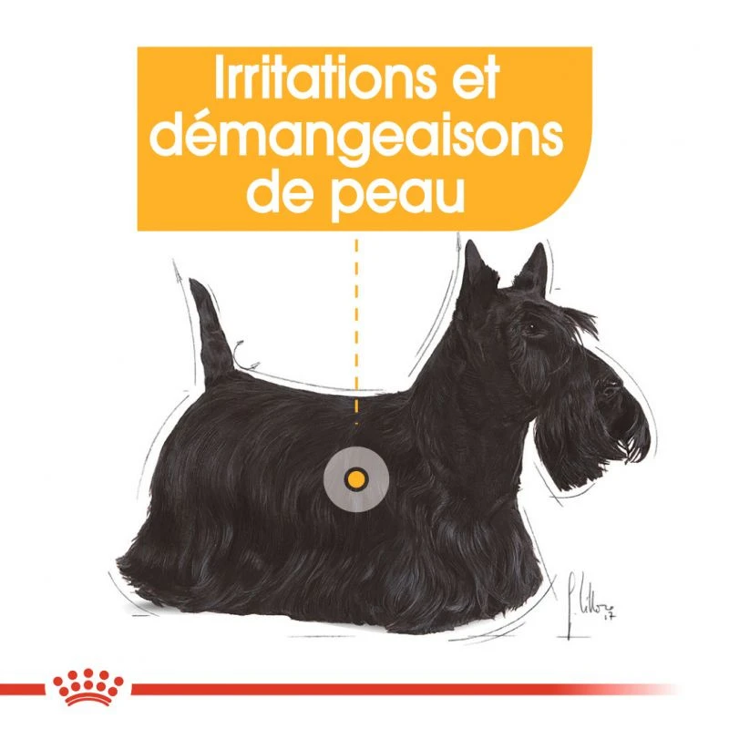 ROYAL CANIN CCN Mini Dermacomfort 3kg + OVER ZOO Délicatesse 100g GRATUIT 5 ROYAL CANIN CCN Mini Dermacomfort 3kg + OVER ZOO Délicatesse 100g GRATUIT – Image 5
