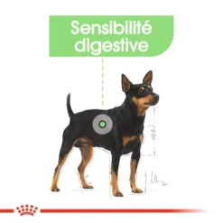 ROYAL CANIN CCN Mini Digestive Care 3kg -Magasin De Fournitures Pour Chiens fre pl ROYAL CANIN CCN Mini Digestive Care 3kg 16288 7
