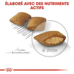 ROYAL CANIN CCN Mini Exigent 3kg -Magasin De Fournitures Pour Chiens fre pl ROYAL CANIN CCN Mini Exigent 3kg 10053 5